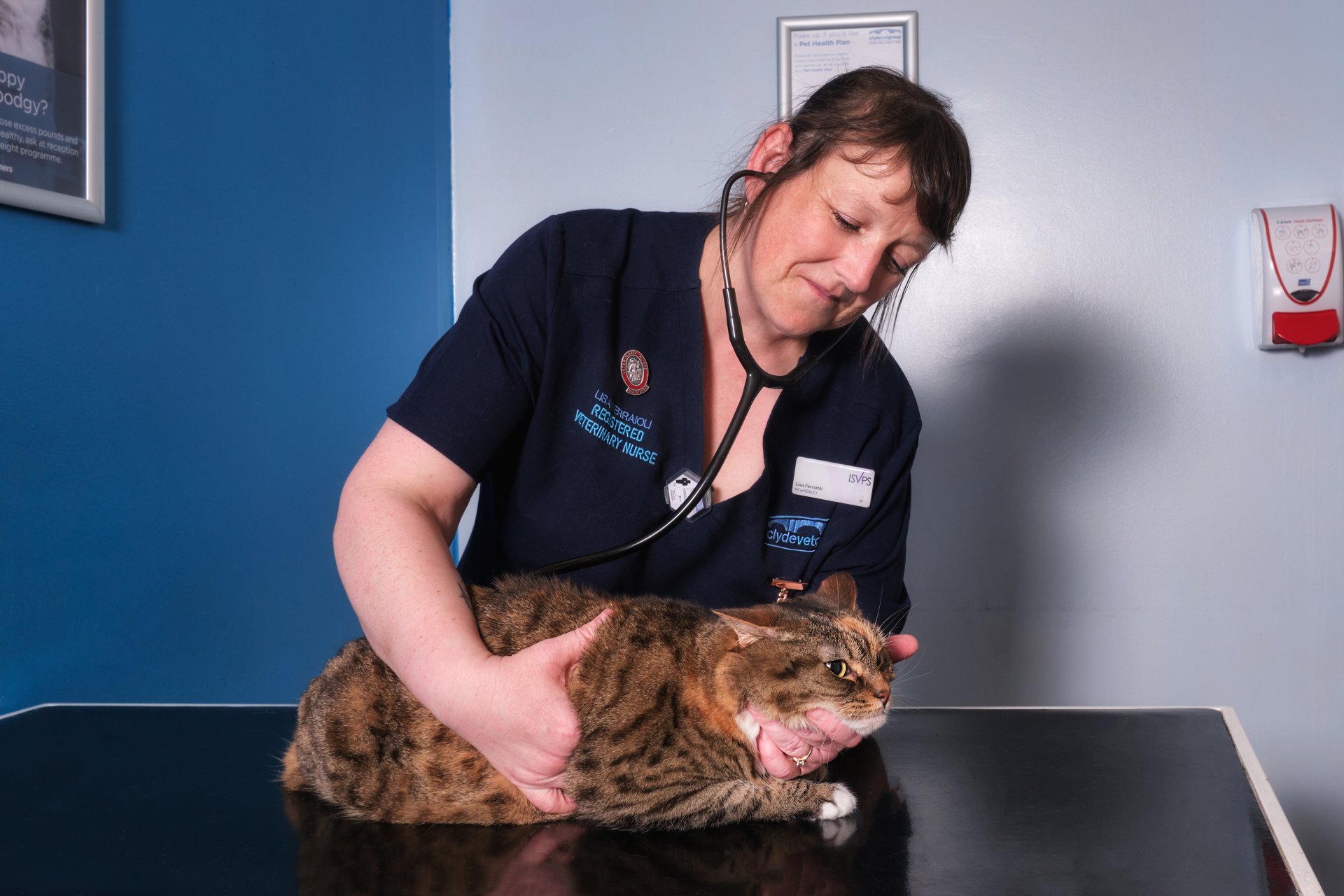 Clyde Vet Group