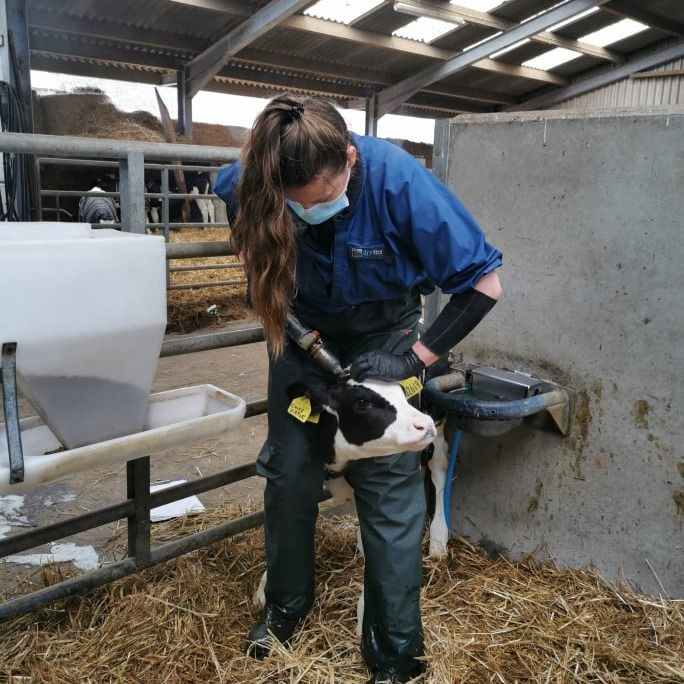Clyde Vet Group