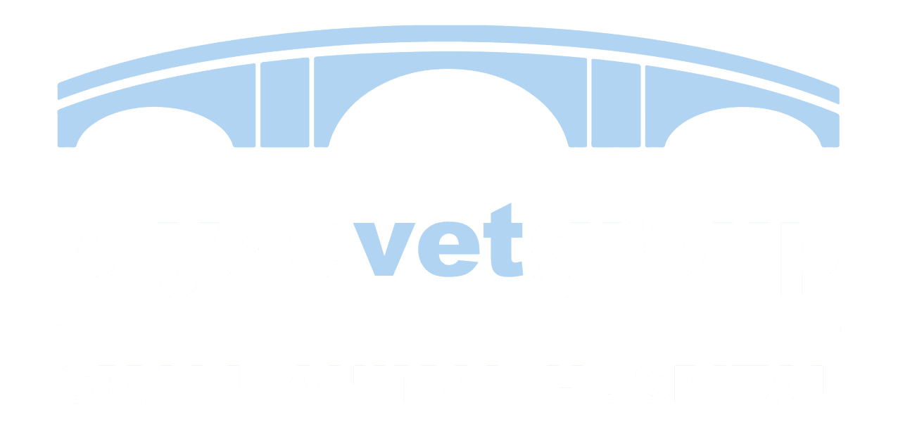 Clyde Vet Group