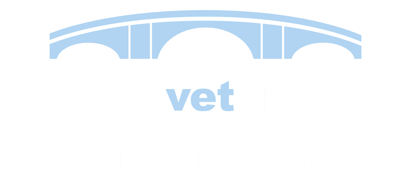 Clyde Vet Group