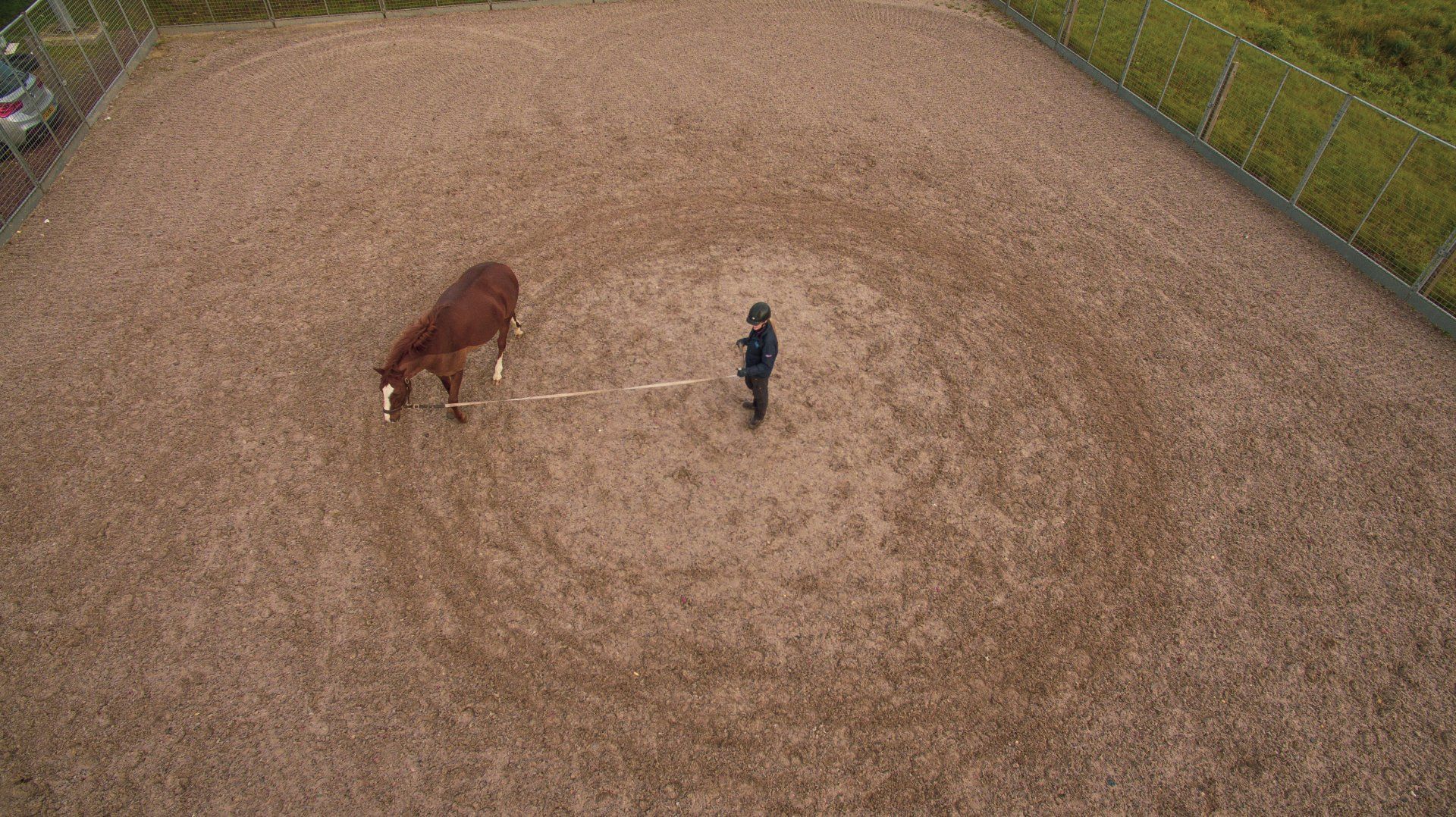 Clyde Vet Group