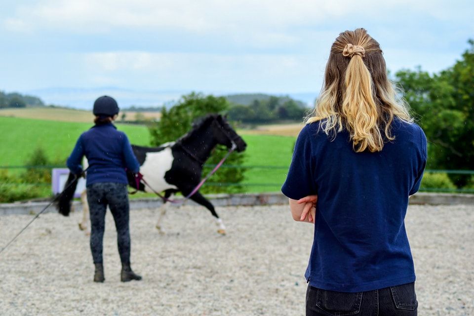 Clyde Vet Group