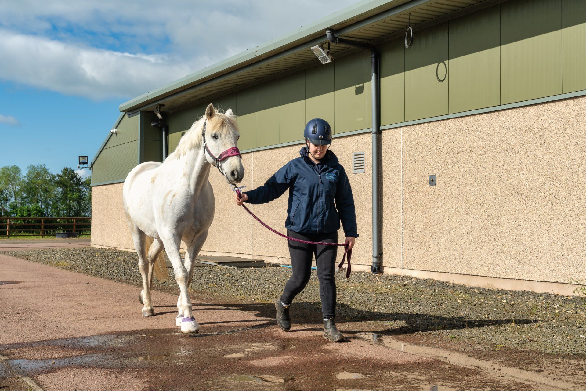 Clyde Vet Group