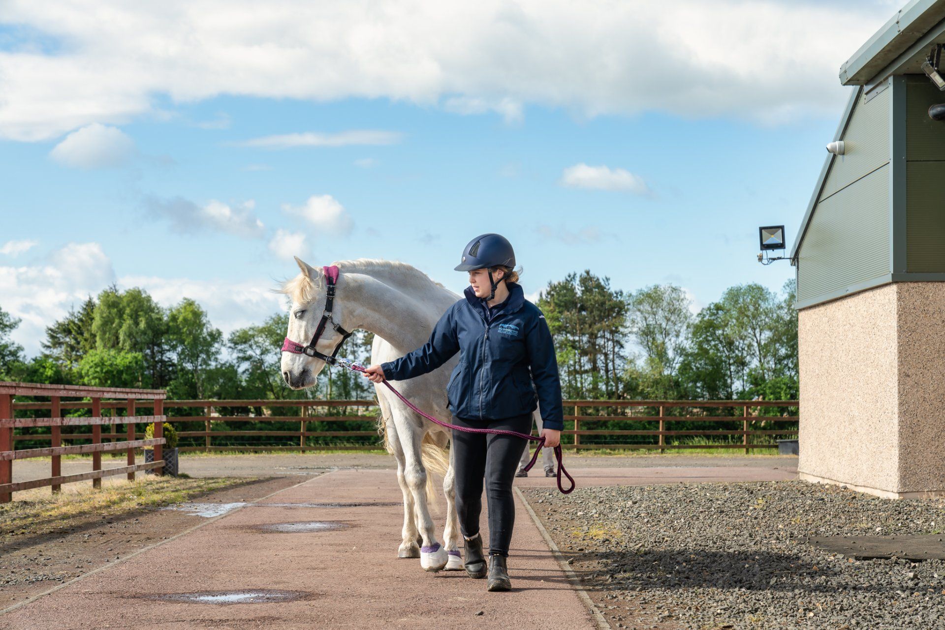 Clyde Vet Group