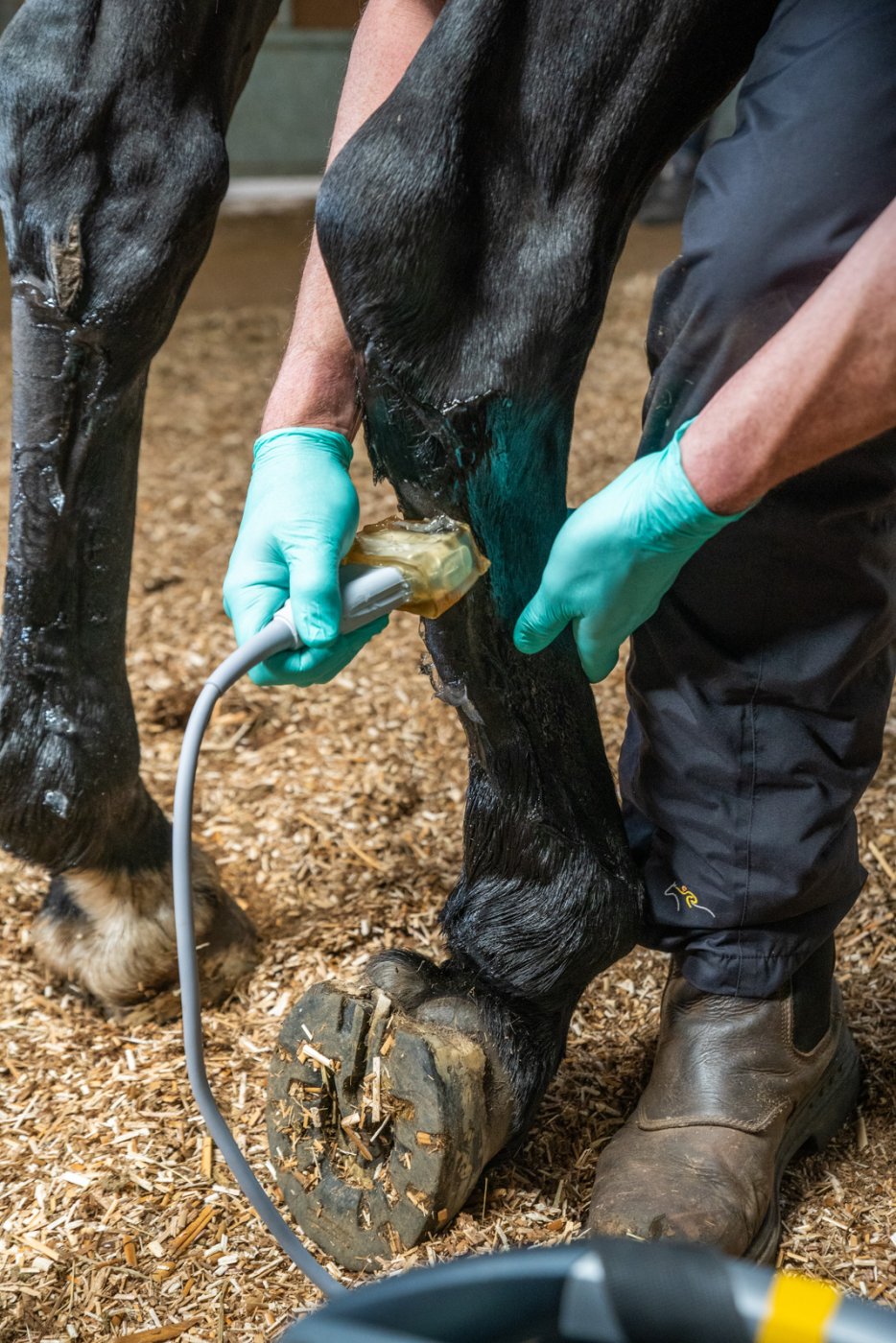 Clyde Vet Group