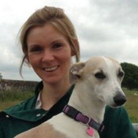 Clyde Vet Group