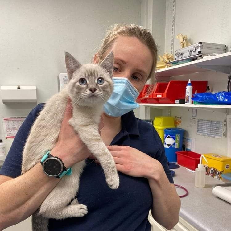 Clyde Vet Group