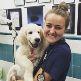Clyde Vet Group