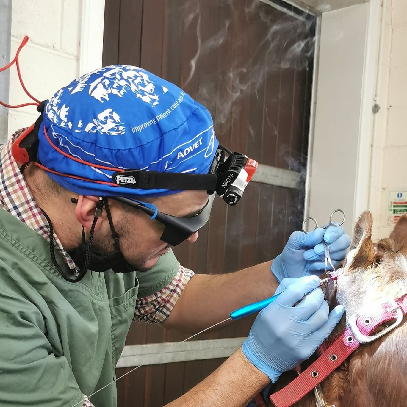 Clyde Vet Group