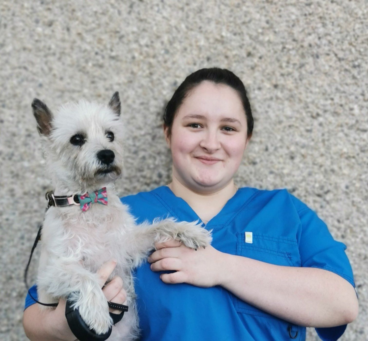 Clyde Vet Group
