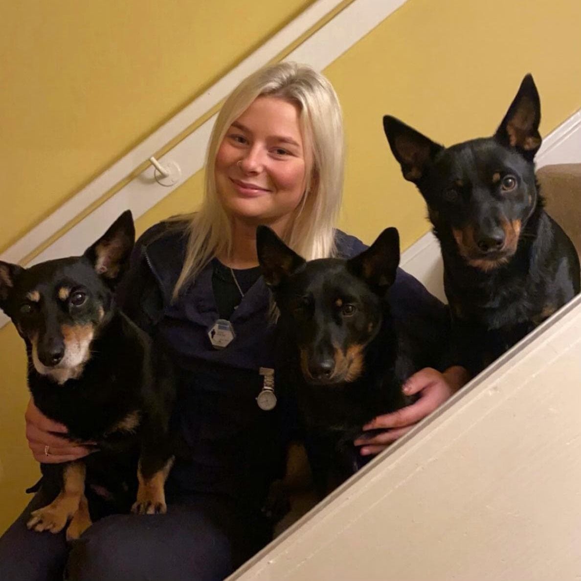 Clyde Vet Group