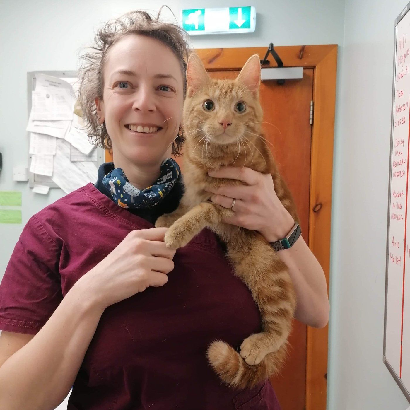 Clyde Vet Group