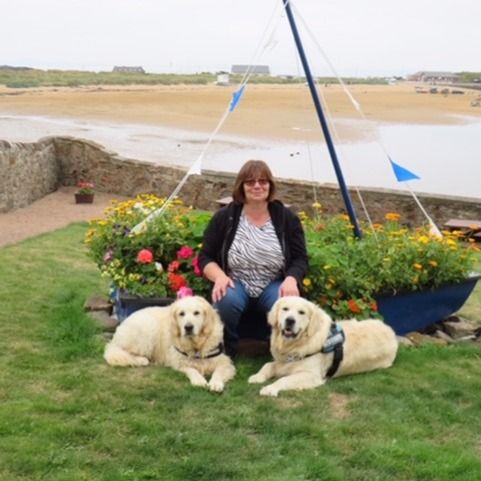 Clyde Vet Group