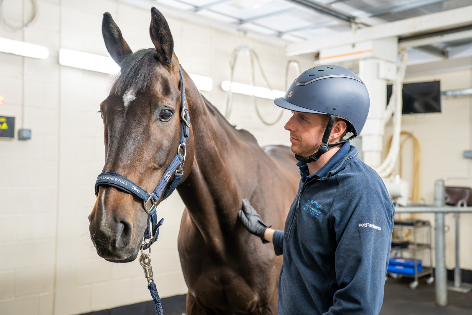 Clyde Veterinary Group - Equine (Web) 093