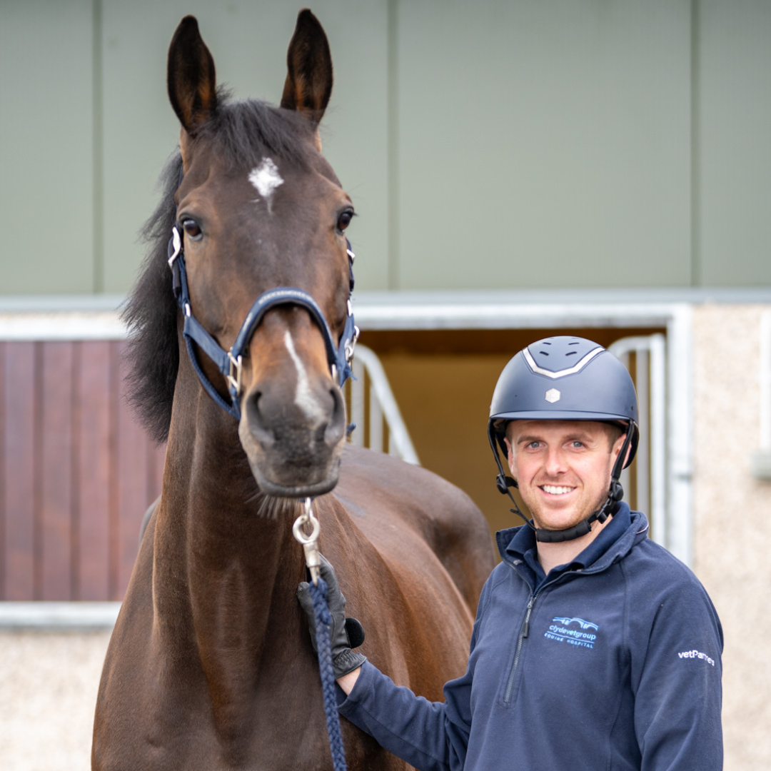 Equine Meet The Team (6)